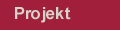 Projekt